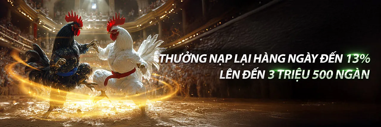 Đá gà U888 trực tuyến